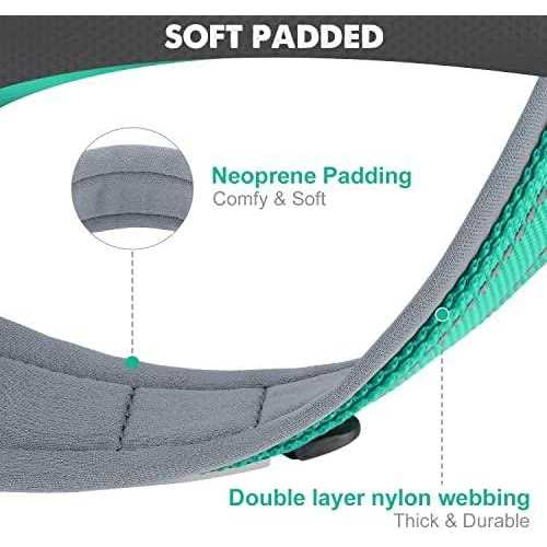 Reflective Neoprene Padded Nylon Dog Collar Z276459