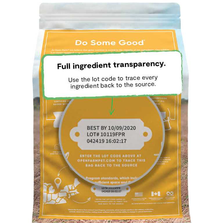 Chicken Ancient Grains Dry Dog Food Y556185