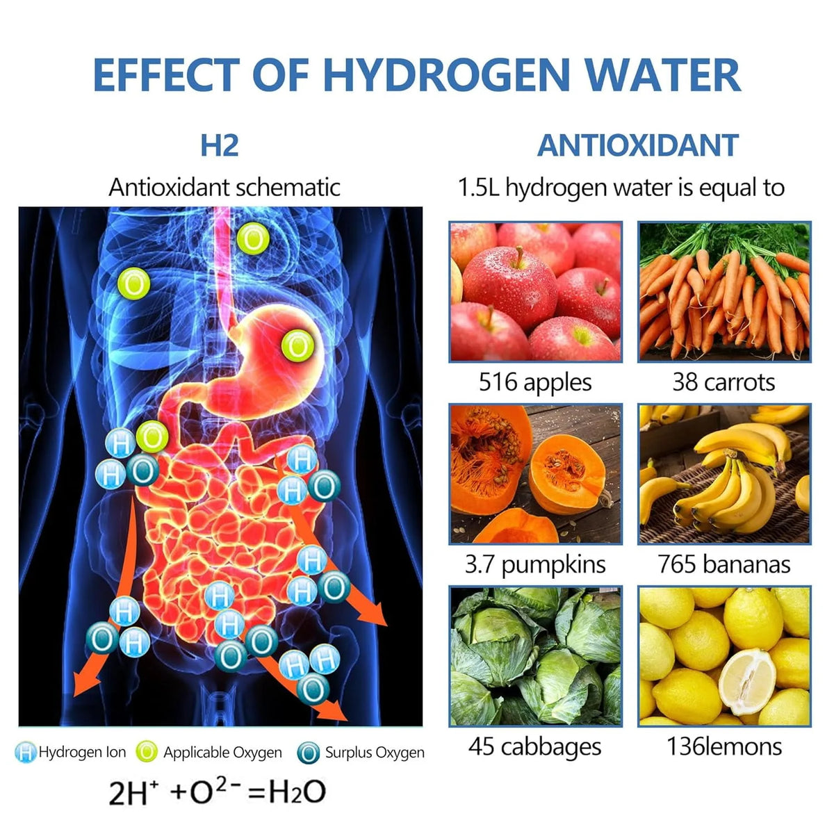 Hydrogen Water Bottle N70777