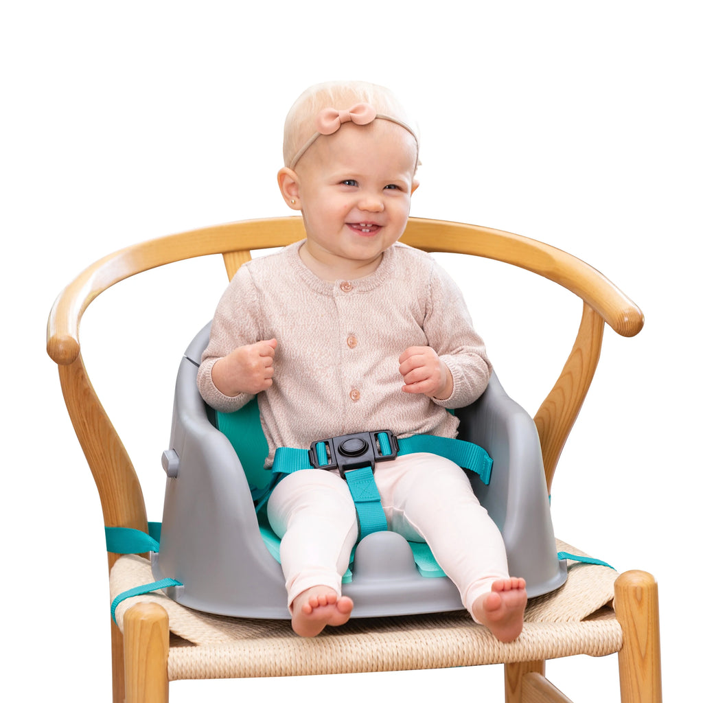 3-in-1 Discovery Seat and Booster M861963