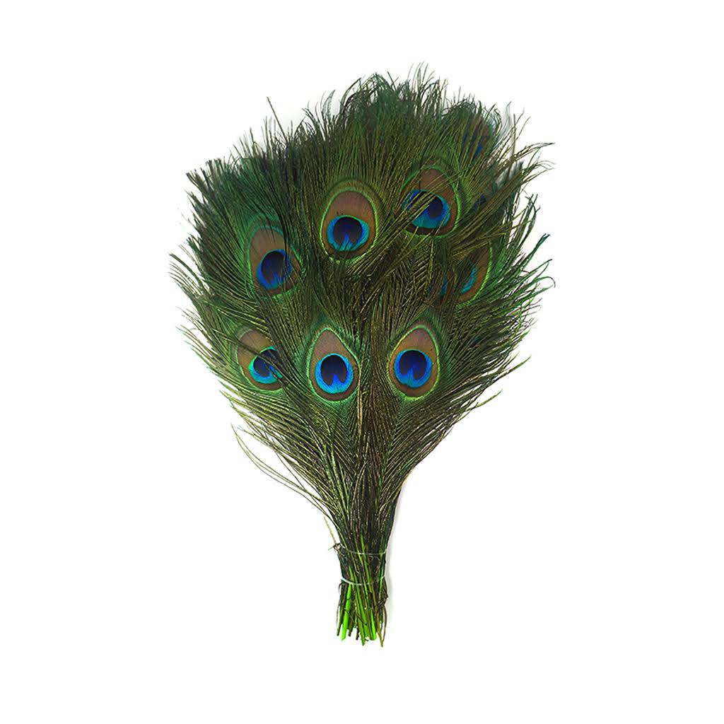 Stem Dyed Peacock Tail Feathers with Full Eyes T291724