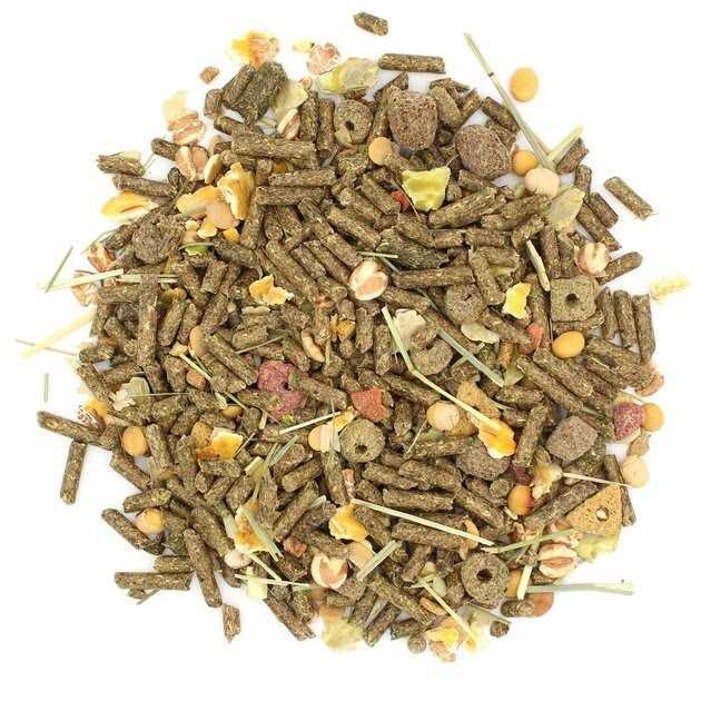 Guinea Pig Food B6981