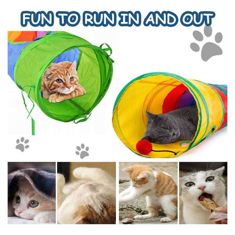 Cat Tunnel J86836