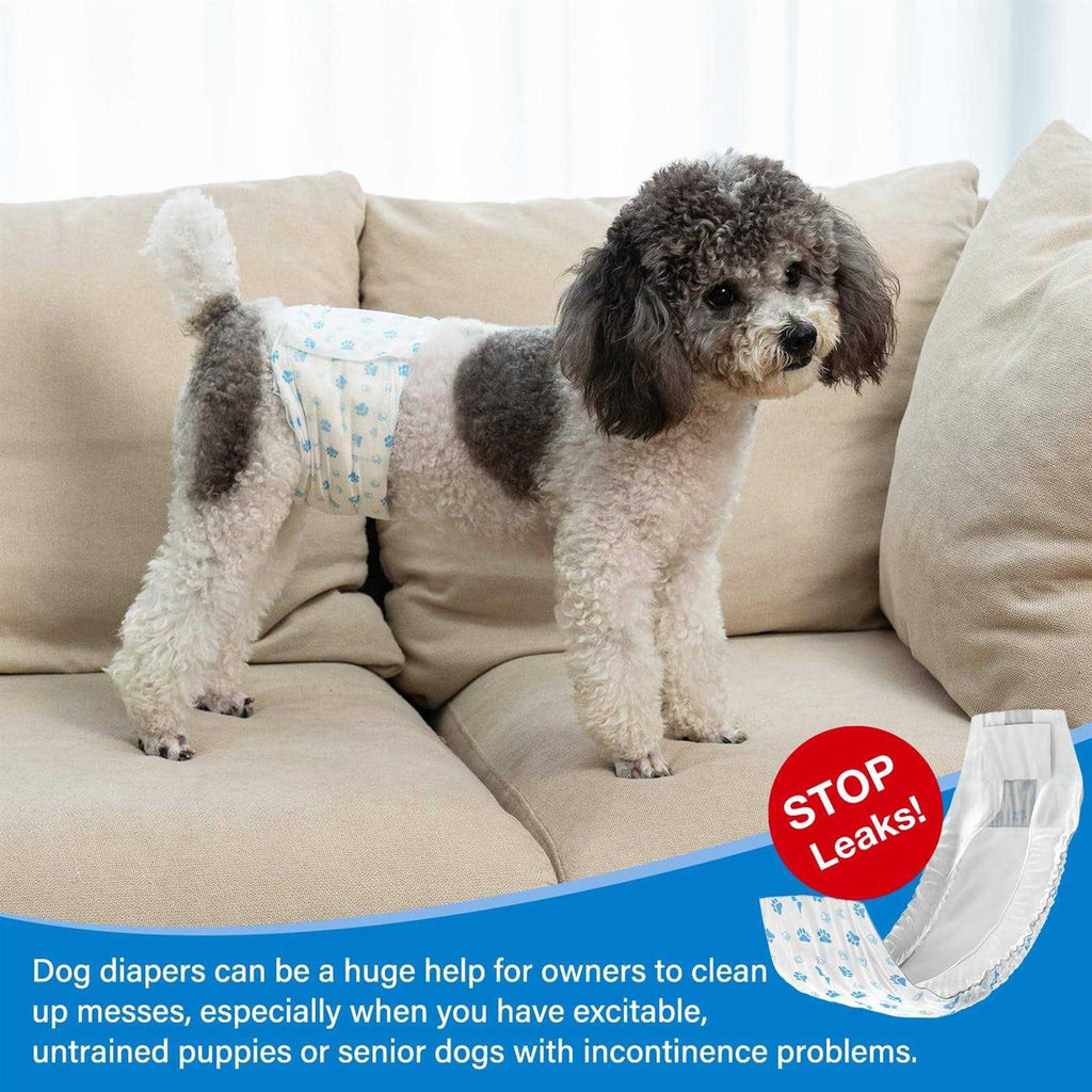 Disposable Male Dog Diaper 12Pcs F686862