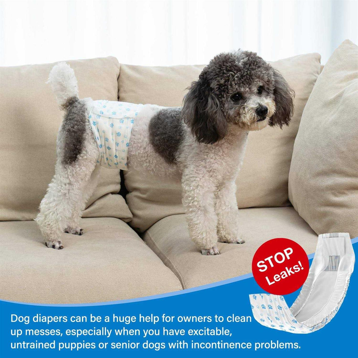 Disposable Male Dog Diaper 12Pcs F686862