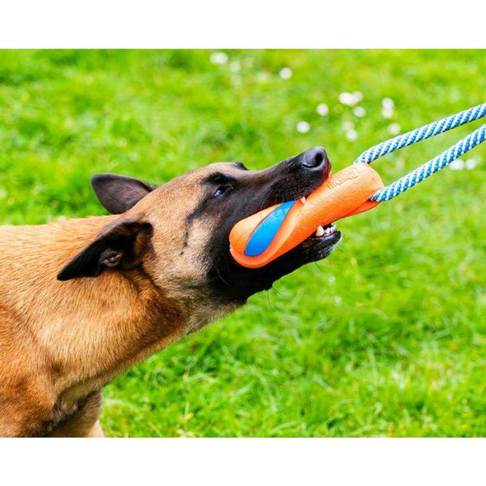 Dog Toy W705435