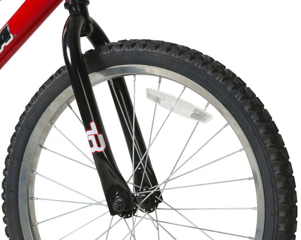 20-Inch BMX Bike R8210