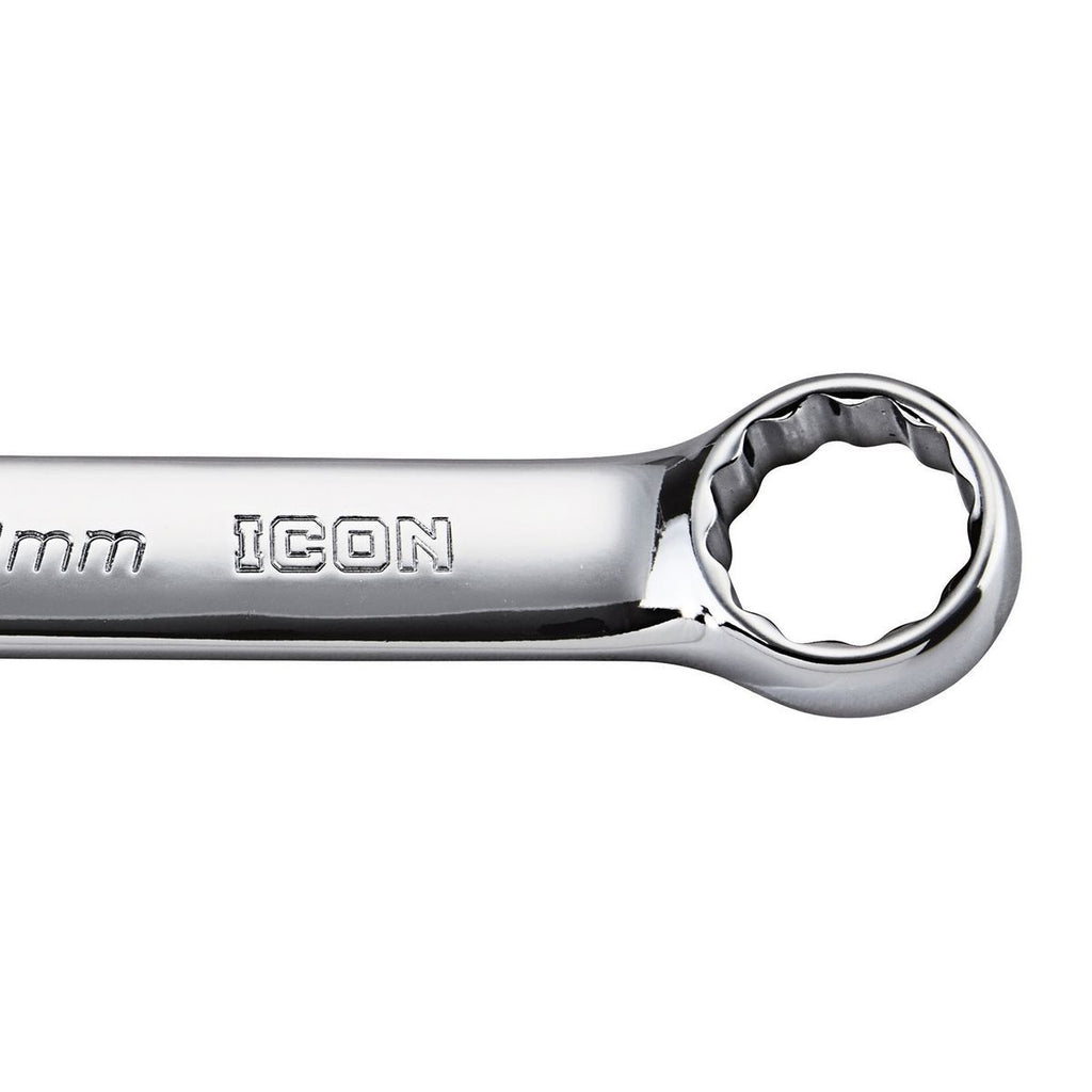 10 Piece Metric Combination Wrench Set D22281