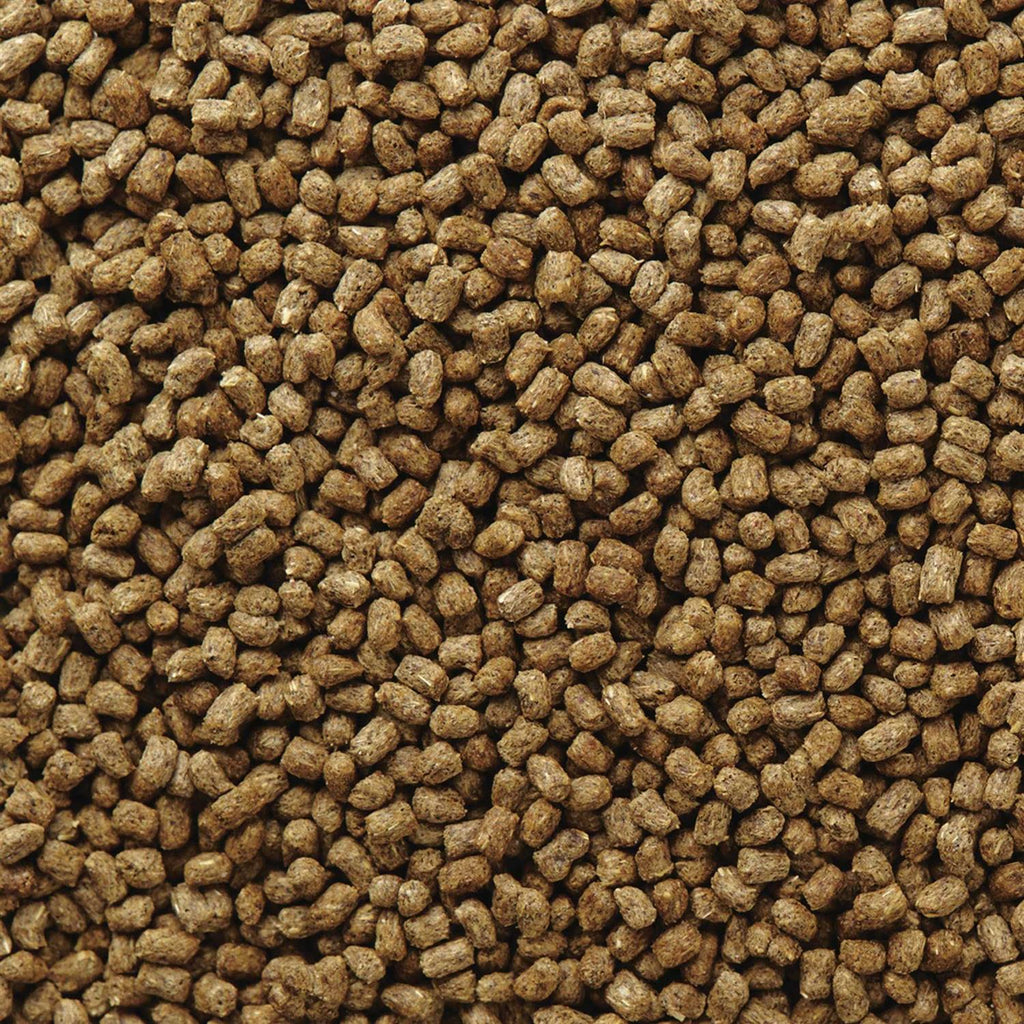 Hedgehog Food W92602