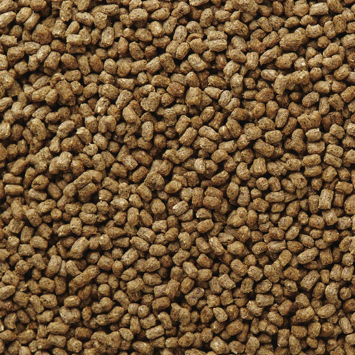 Hedgehog Food W92602