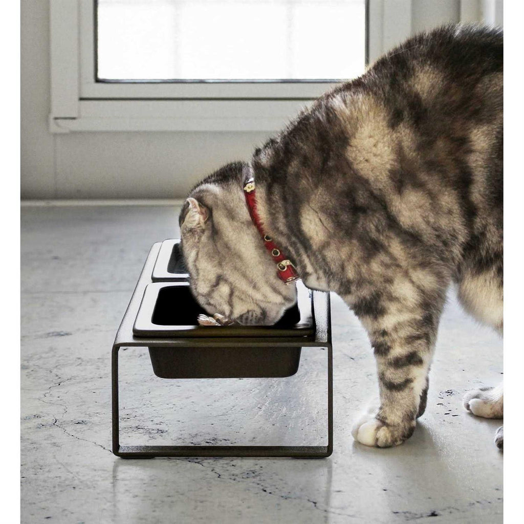 Pet Food Bowl X609153