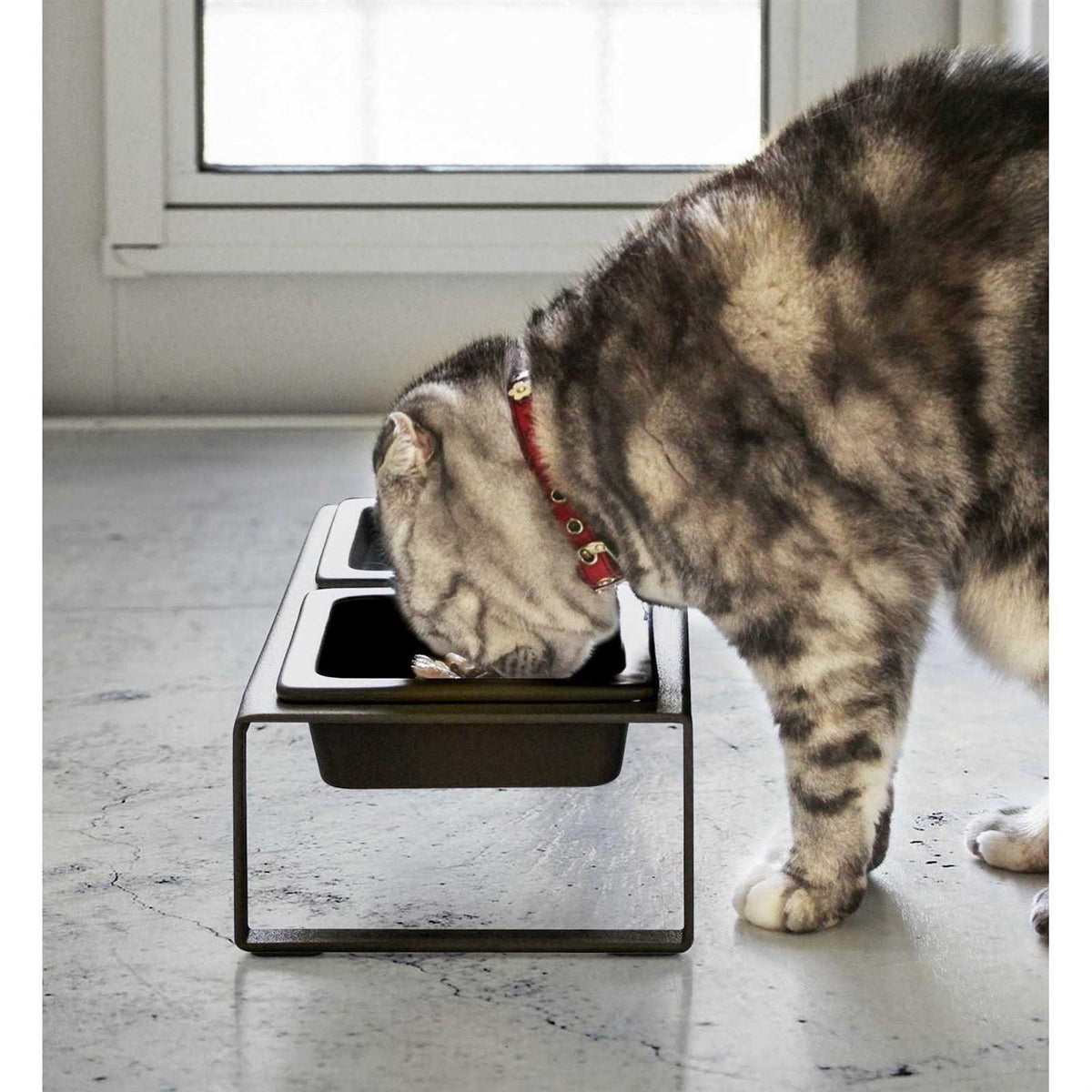Pet Food Bowl X609153