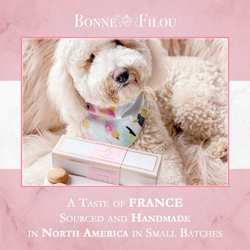 Dog Macarons N810
