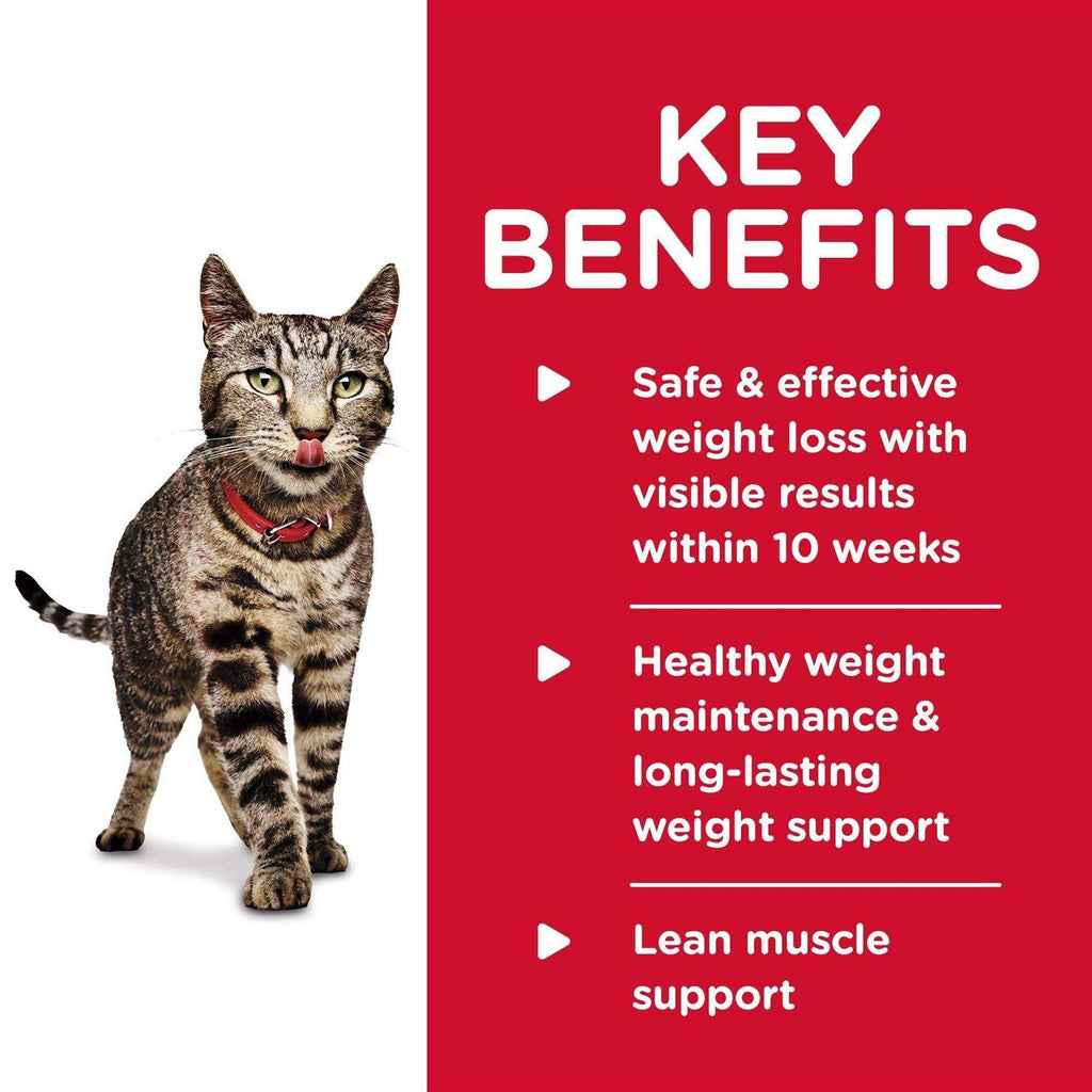 Adult Perfect Weight Cat Food B801