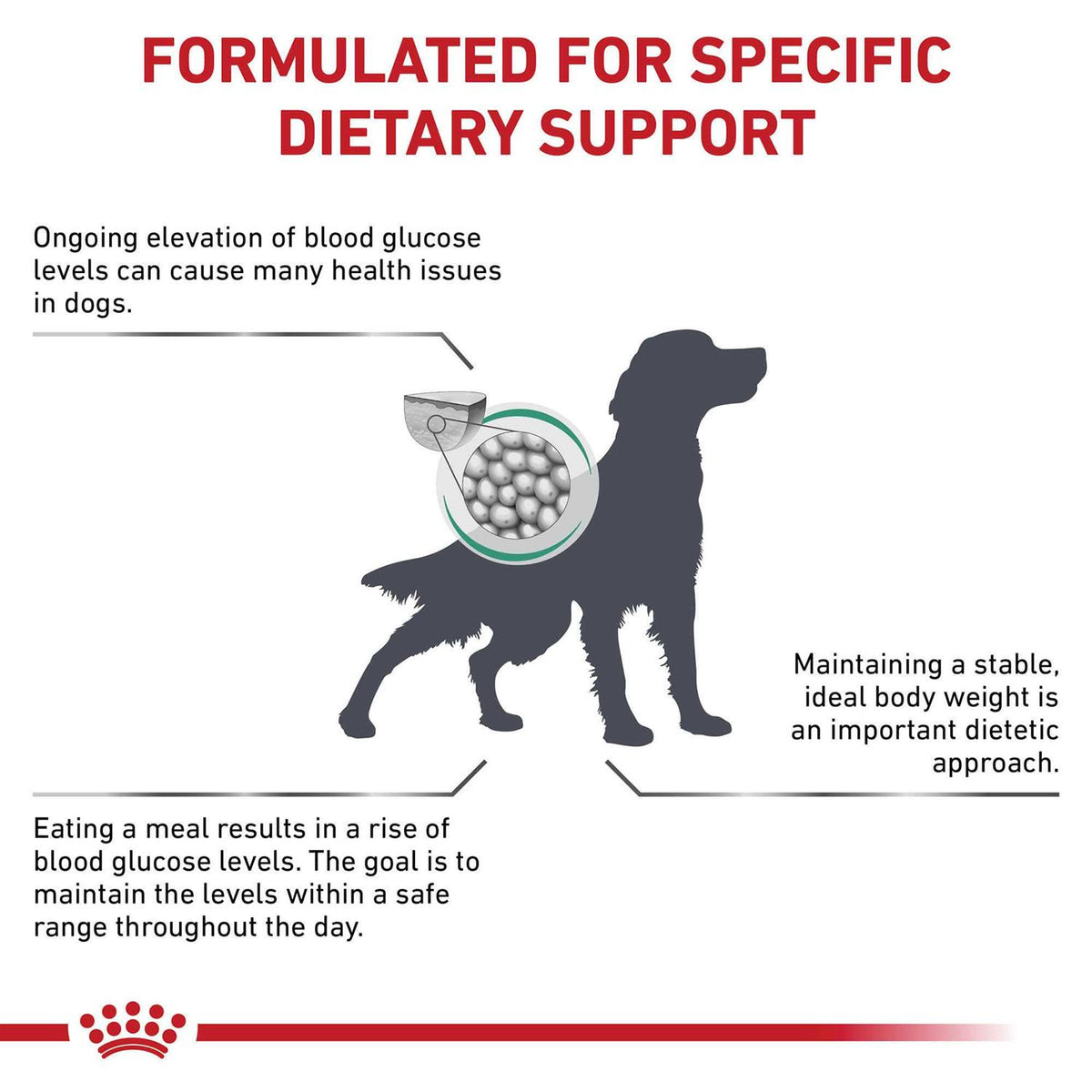Veterinary Diet Dry Dog Food R488874