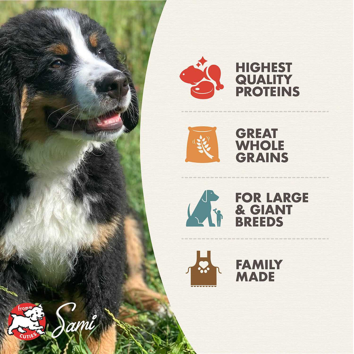 Large Breed Puppy Dry Dog Food C636593