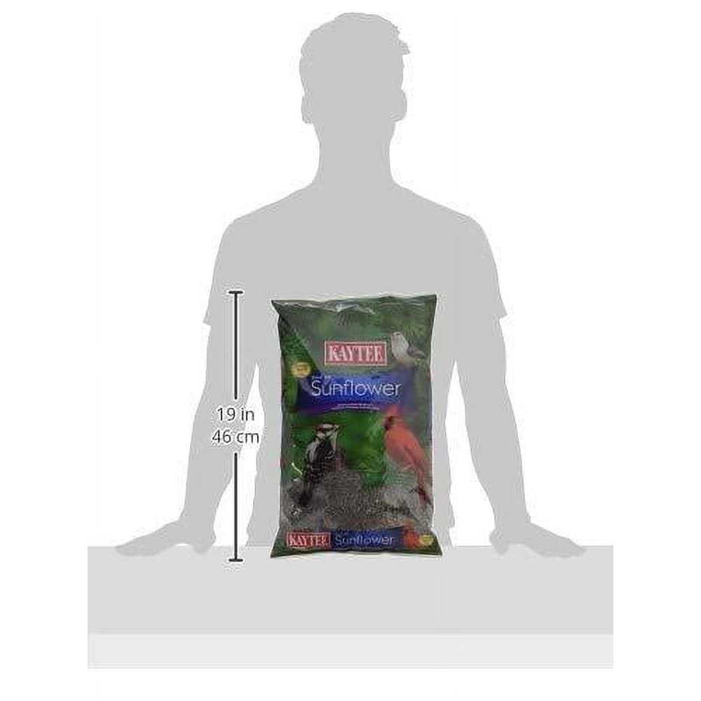 Black Oil Sunflower Food N12424