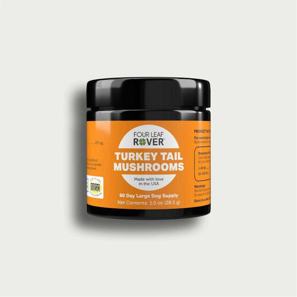 Yeast-Based Probiotics for Dogs J119678