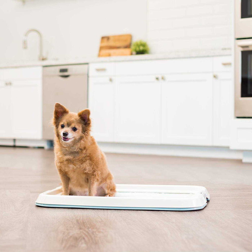 Square Pet Training Pad Holder G4595