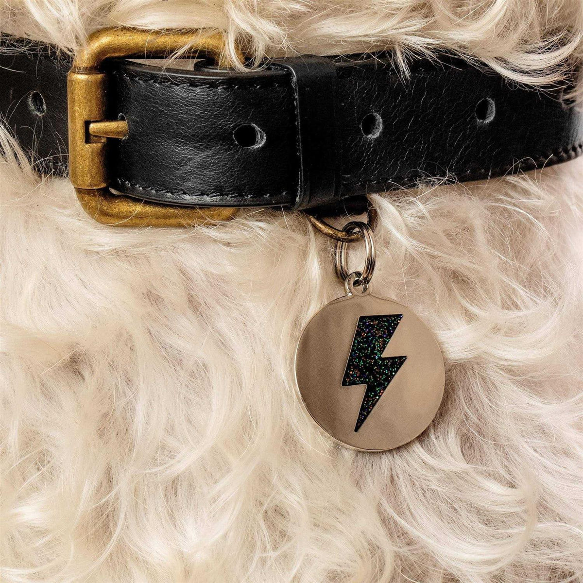 Lightning Bolt Pet ID Tag Z91417