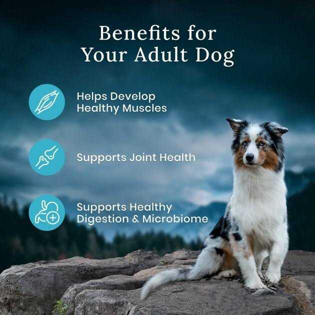 Salmon Dry Dog Food I4228