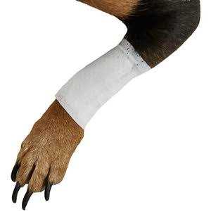 Bandages Protective Covers for Pets Y5095
