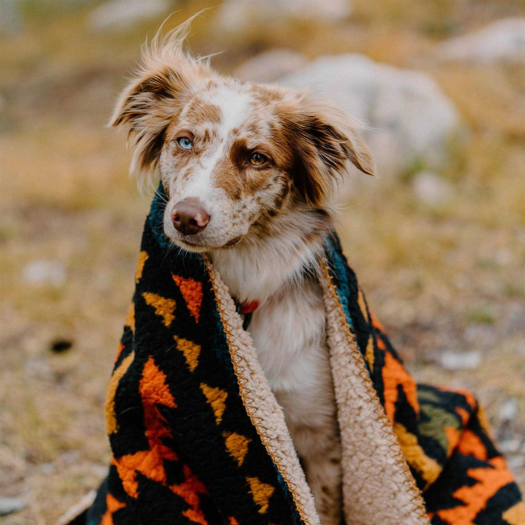 Sherpa Fleece Waterproof Blanket N909951