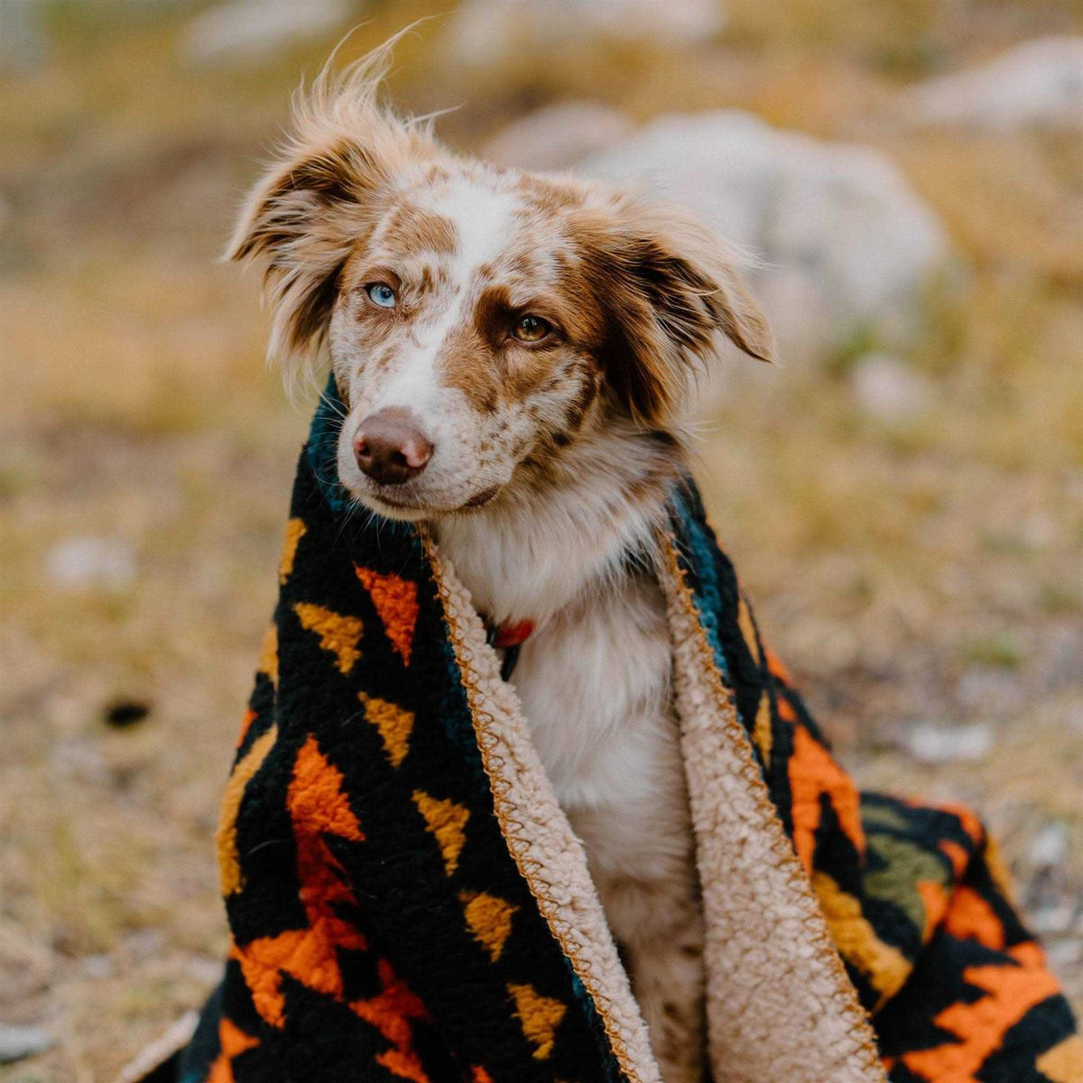 Sherpa Fleece Waterproof Blanket N909951