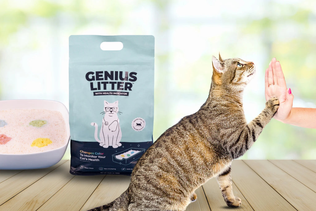 Genius Litter with Health Indicator Q7429