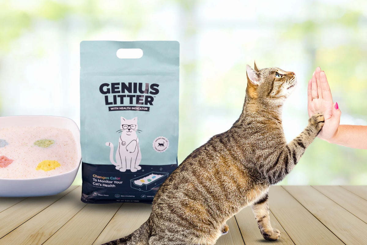 Genius Litter with Health Indicator Q7429