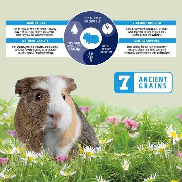 Guinea Pig Food B6981