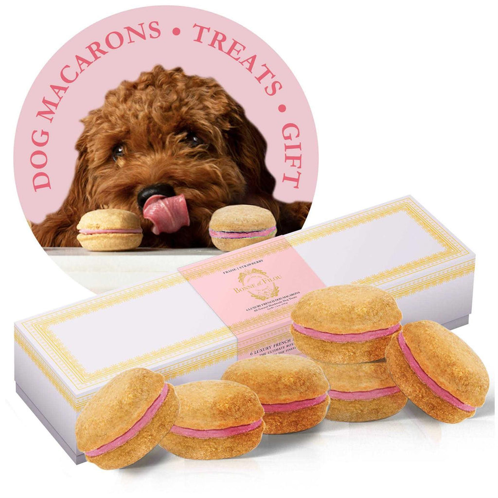 Dog Macarons N810