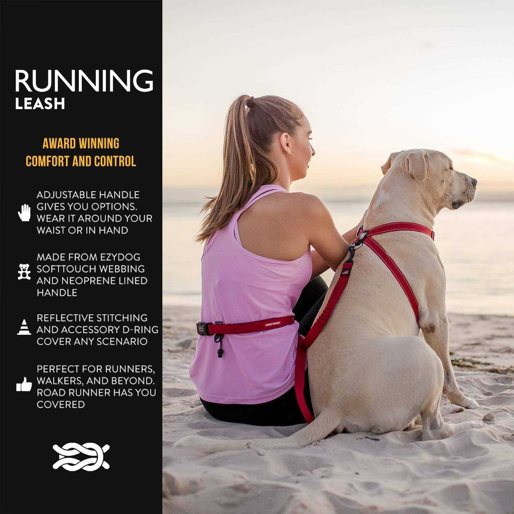 Leash Q13152