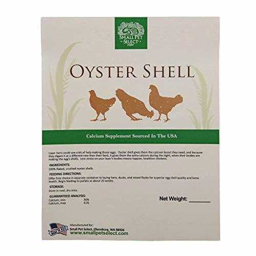 Flaked Oyster and Seashell A2243