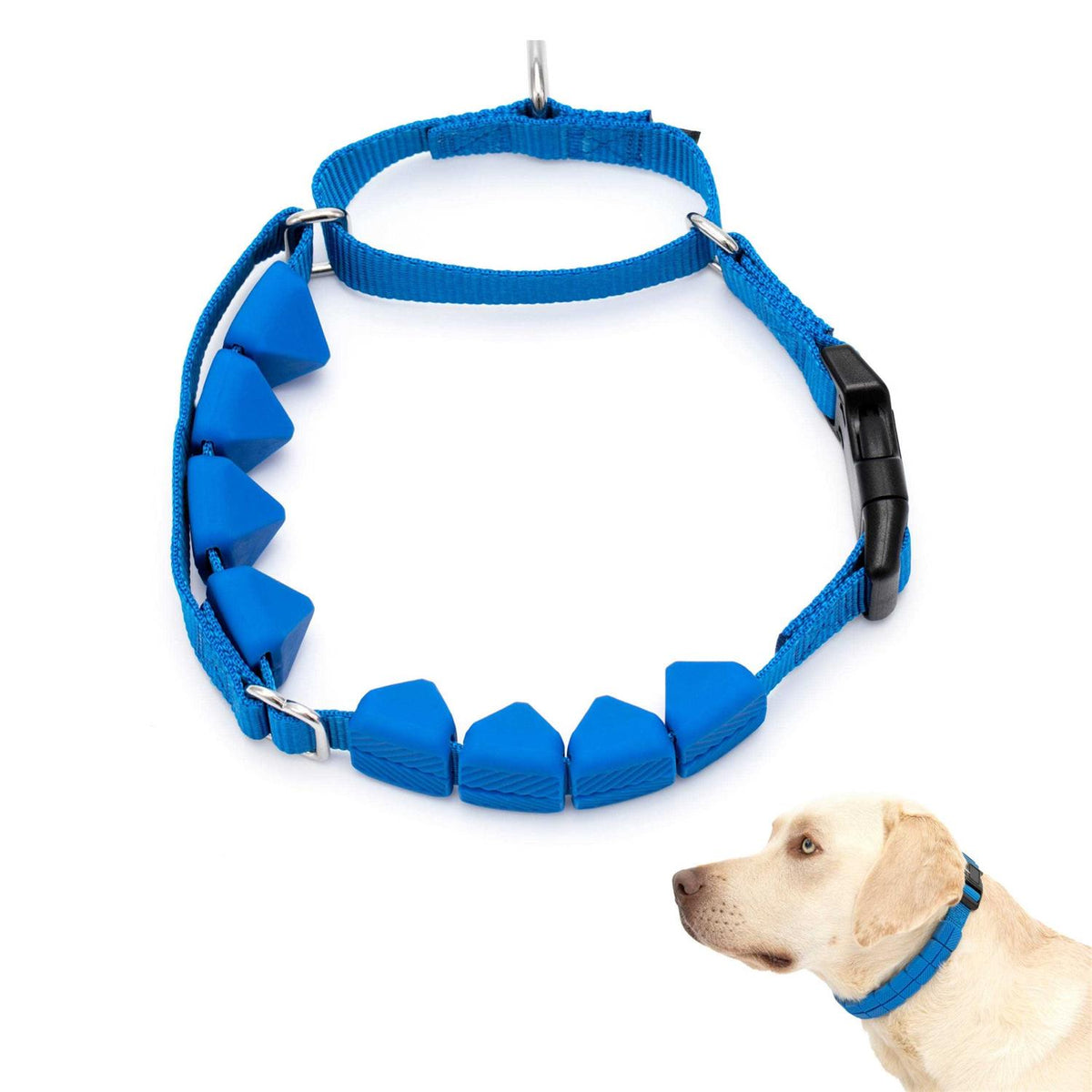 Soft Point Training Collar L1421