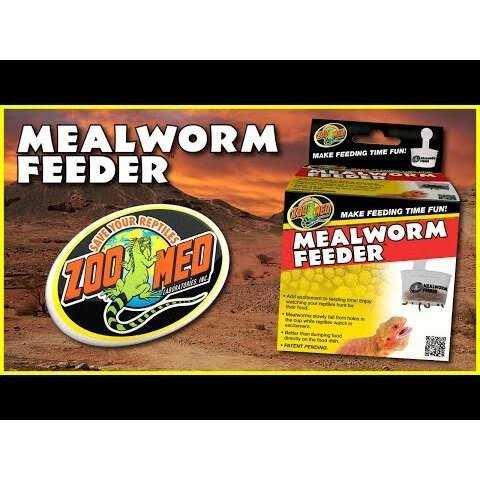 Hanging Mealworm Feeder X88410